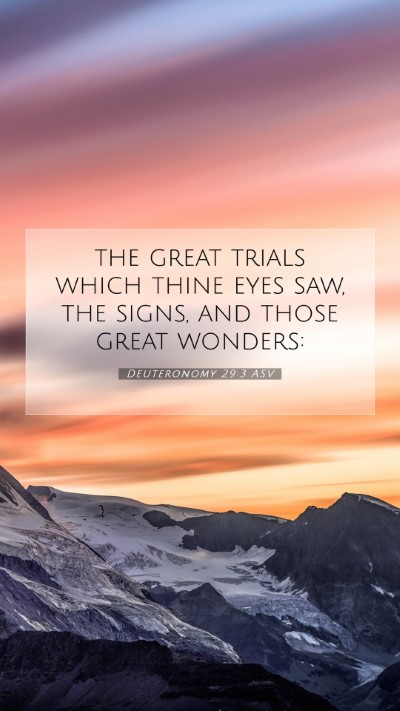 Picture 07 - Deuteronomy 29:3 ASV Mobile Phone Wallpaper - the great trials which thine eyes saw, the signs, - Mobile Bible Verse Wallpaper