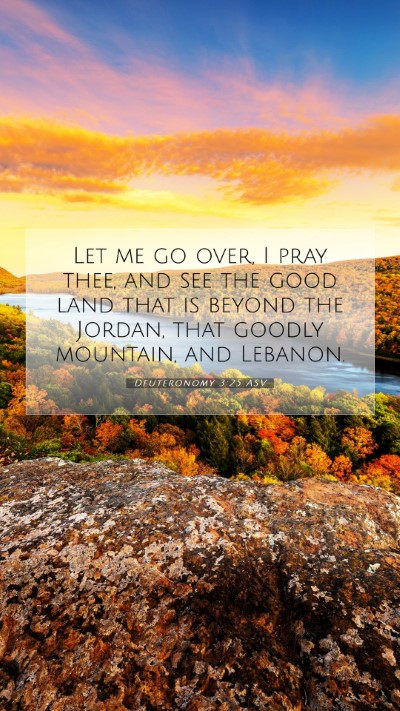 Picture 07 - Deuteronomy 3:25 ASV Mobile Phone Wallpaper - Let me go over, I pray thee, and see the good - Mobile Bible Verse Wallpaper