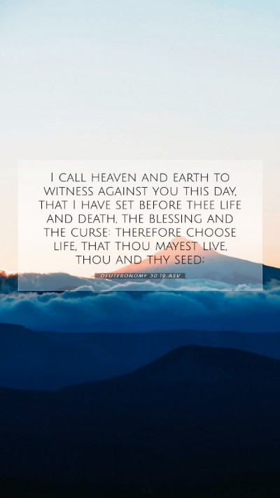 Picture 07 - Deuteronomy 30:19 ASV Mobile Phone Wallpaper - I call heaven and earth to witness against you - Mobile Bible Verse Wallpaper