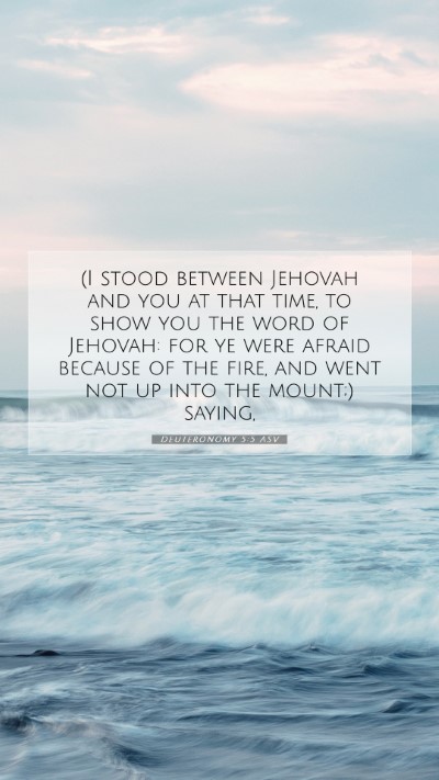Picture 07 - Deuteronomy 5:5 ASV Mobile Phone Wallpaper - (I stood between Jehovah and you at that time, to - Mobile Bible Verse Wallpaper