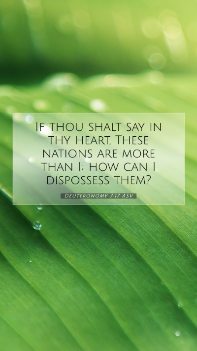 Picture 07 - Deuteronomy 7:17 ASV Mobile Phone Wallpaper - If thou shalt say in thy heart, These nations are - Mobile Bible Verse Wallpaper