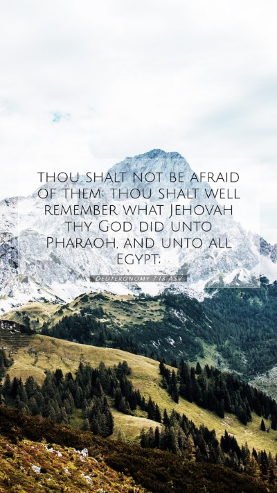 Picture 07 - Deuteronomy 7:18 ASV Mobile Phone Wallpaper - thou shalt not be afraid of them: thou shalt well - Mobile Bible Verse Wallpaper