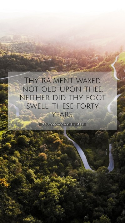 Picture 07 - Deuteronomy 8:4 ASV Mobile Phone Wallpaper - Thy raiment waxed not old upon thee, neither did - Mobile Bible Verse Wallpaper