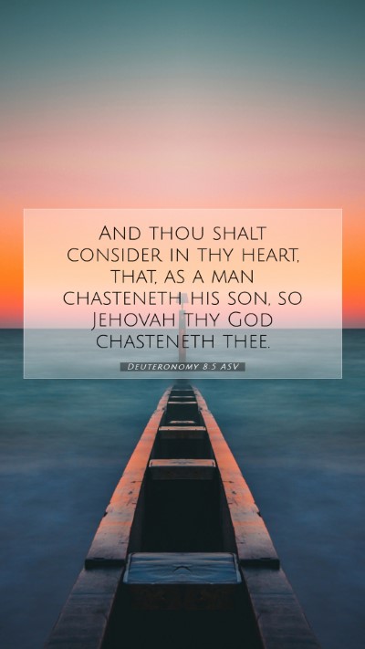 Picture 07 - Deuteronomy 8:5 ASV Mobile Phone Wallpaper - And thou shalt consider in thy heart, that, as a - Mobile Bible Verse Wallpaper