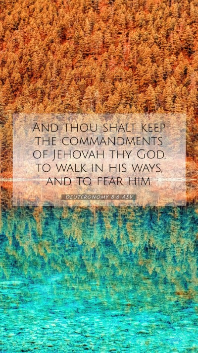 Picture 07 - Deuteronomy 8:6 ASV Mobile Phone Wallpaper - And thou shalt keep the commandments of Jehovah - Mobile Bible Verse Wallpaper