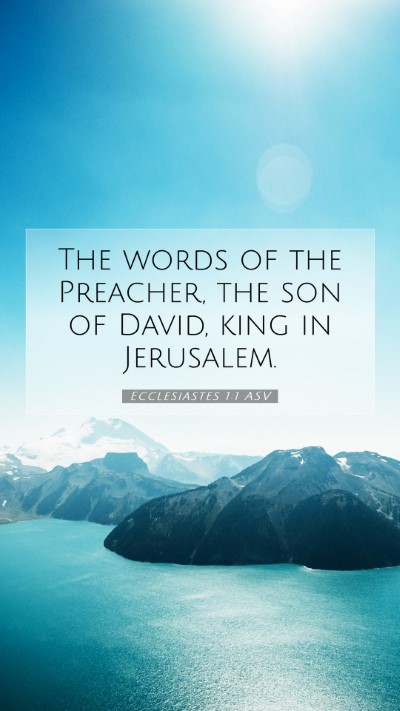Picture 07 - Ecclesiastes 1:1 ASV Mobile Phone Wallpaper - The words of the Preacher, the son of David, king - Mobile Bible Verse Wallpaper
