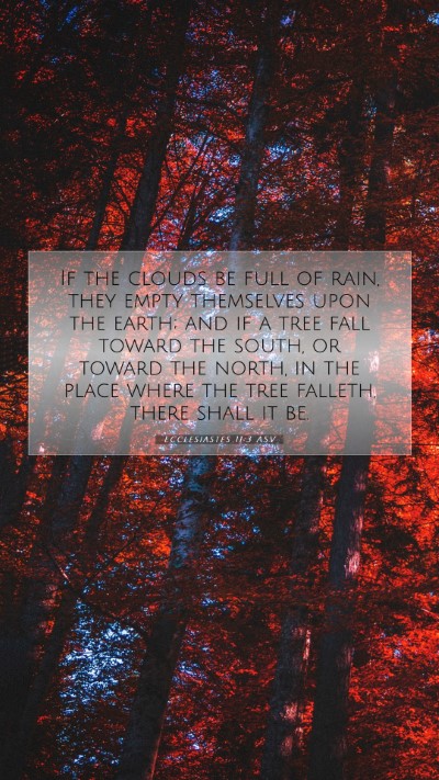 Picture 07 - Ecclesiastes 11:3 ASV Mobile Phone Wallpaper - If the clouds be full of rain, they empty - Mobile Bible Verse Wallpaper