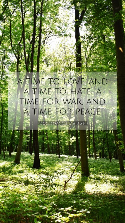 Picture 07 - Ecclesiastes 3:8 ASV Mobile Phone Wallpaper - a time to love, and a time to hate; a time for - Mobile Bible Verse Wallpaper