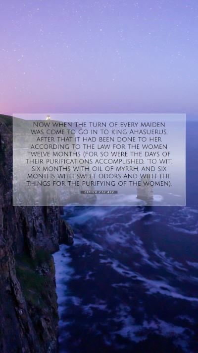 Picture 07 - Esther 2:12 ASV Mobile Phone Wallpaper - Now when the turn of every maiden was come to go - Mobile Bible Verse Wallpaper