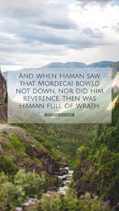 Picture 07 - Esther 3:5 ASV Mobile Phone Wallpaper - And when Haman saw that Mordecai bowed not down, - Mobile Bible Verse Wallpaper