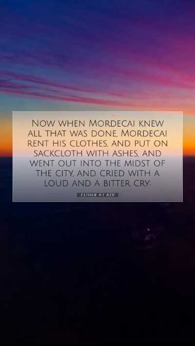 Picture 07 - Esther 4:1 ASV Mobile Phone Wallpaper - Now when Mordecai knew all that was done, - Mobile Bible Verse Wallpaper