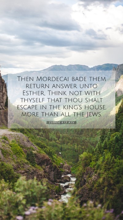 Picture 07 - Esther 4:13 ASV Mobile Phone Wallpaper - Then Mordecai bade them return answer unto - Mobile Bible Verse Wallpaper