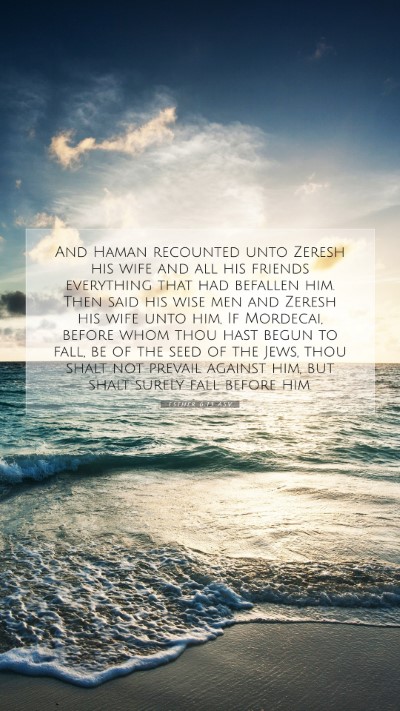 Picture 07 - Esther 6:13 ASV Mobile Phone Wallpaper - And Haman recounted unto Zeresh his wife and all - Mobile Bible Verse Wallpaper