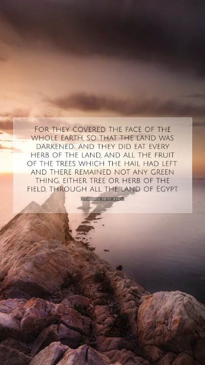 Picture 07 - Exodus 10:15 ASV Mobile Phone Wallpaper - For they covered the face of the whole earth, so - Mobile Bible Verse Wallpaper