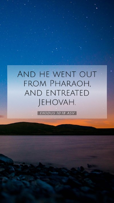 Picture 07 - Exodus 10:18 ASV Mobile Phone Wallpaper - And he went out from Pharaoh, and entreated - Mobile Bible Verse Wallpaper