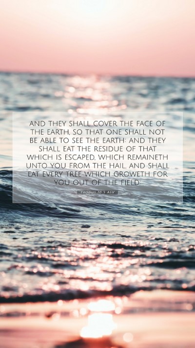 Picture 07 - Exodus 10:5 ASV Mobile Phone Wallpaper - and they shall cover the face of the earth, so - Mobile Bible Verse Wallpaper