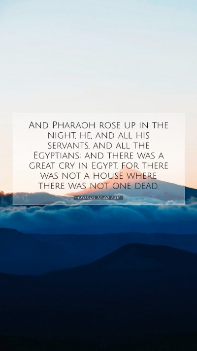 Picture 07 - Exodus 12:30 ASV Mobile Phone Wallpaper - And Pharaoh rose up in the night, he, and all his - Mobile Bible Verse Wallpaper