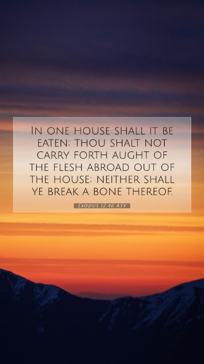 Picture 07 - Exodus 12:46 ASV Mobile Phone Wallpaper - In one house shall it be eaten; thou shalt not - Mobile Bible Verse Wallpaper