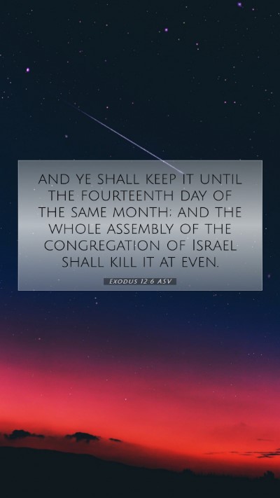 Picture 07 - Exodus 12:6 ASV Mobile Phone Wallpaper - and ye shall keep it until the fourteenth day of - Mobile Bible Verse Wallpaper