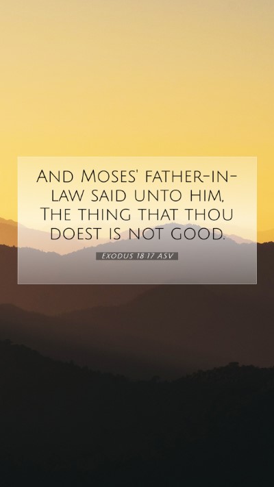 Picture 07 - Exodus 18:17 ASV Mobile Phone Wallpaper - And Moses' father-in-law said unto him, The thing - Mobile Bible Verse Wallpaper