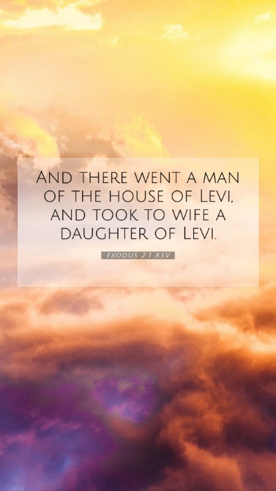 Picture 07 - Exodus 2:1 ASV Mobile Phone Wallpaper - And there went a man of the house of Levi, and - Mobile Bible Verse Wallpaper