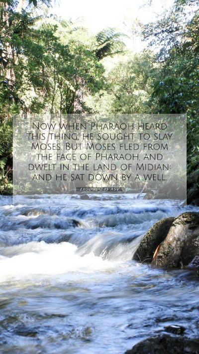 Picture 07 - Exodus 2:15 ASV Mobile Phone Wallpaper - Now when Pharaoh heard this thing, he sought to - Mobile Bible Verse Wallpaper