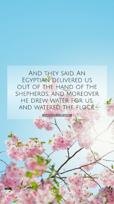 Picture 07 - Exodus 2:19 ASV Mobile Phone Wallpaper - And they said, An Egyptian delivered us out of - Mobile Bible Verse Wallpaper