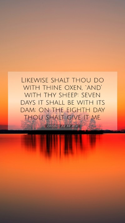 Picture 07 - Exodus 22:30 ASV Mobile Phone Wallpaper - Likewise shalt thou do with thine oxen, `and' - Mobile Bible Verse Wallpaper
