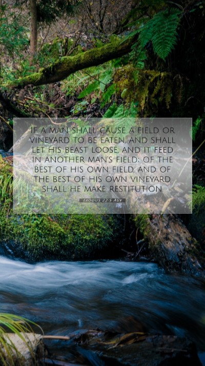 Picture 07 - Exodus 22:5 ASV Mobile Phone Wallpaper - If a man shall cause a field or vineyard to be - Mobile Bible Verse Wallpaper