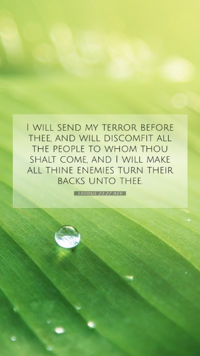 Picture 07 - Exodus 23:27 ASV Mobile Phone Wallpaper - I will send my terror before thee, and will - Mobile Bible Verse Wallpaper