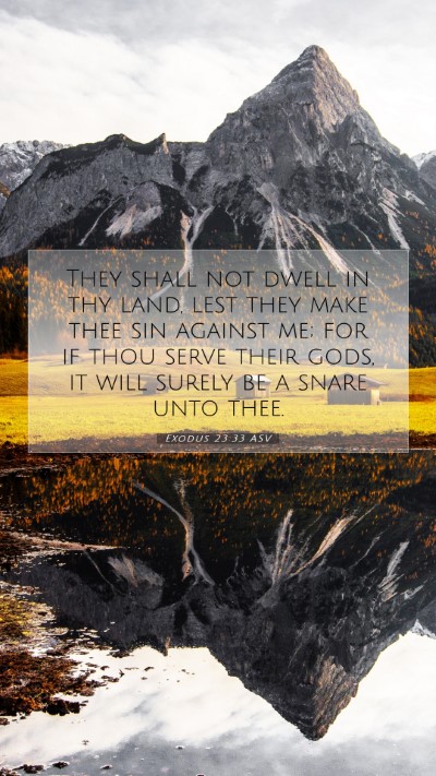 Picture 07 - Exodus 23:33 ASV Mobile Phone Wallpaper - They shall not dwell in thy land, lest they make - Mobile Bible Verse Wallpaper