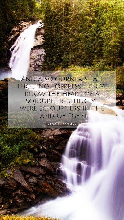 Picture 07 - Exodus 23:9 ASV Mobile Phone Wallpaper - And a sojourner shalt thou not oppress: for ye - Mobile Bible Verse Wallpaper