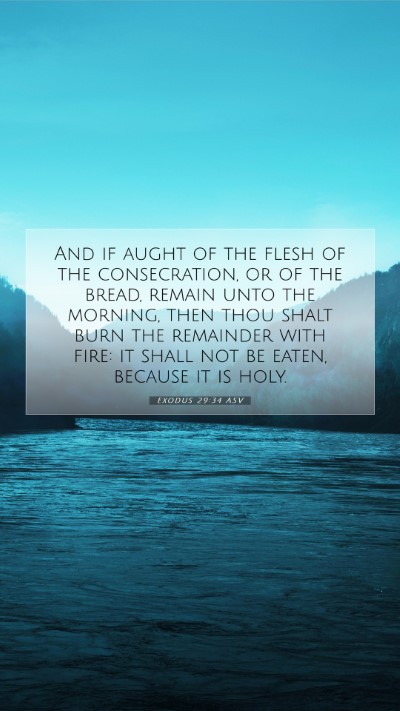 Picture 07 - Exodus 29:34 ASV Mobile Phone Wallpaper - And if aught of the flesh of the consecration, or - Mobile Bible Verse Wallpaper