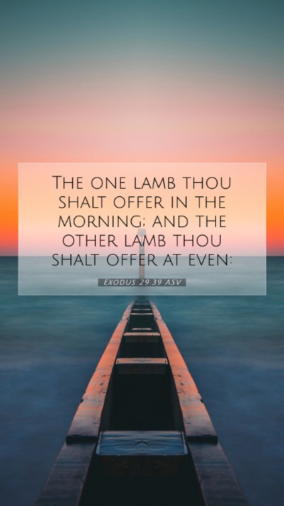 Picture 07 - Exodus 29:39 ASV Mobile Phone Wallpaper - The one lamb thou shalt offer in the morning; and - Mobile Bible Verse Wallpaper