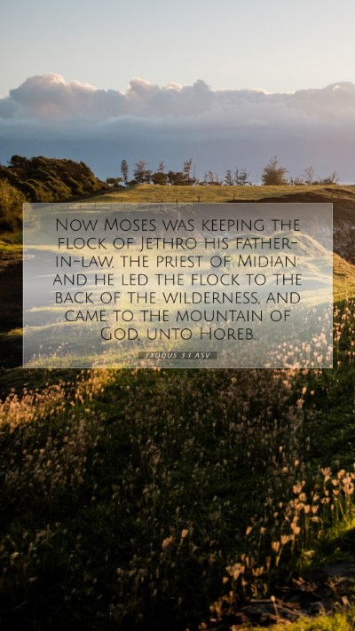 Picture 07 - Exodus 3:1 ASV Mobile Phone Wallpaper - Now Moses was keeping the flock of Jethro his - Mobile Bible Verse Wallpaper
