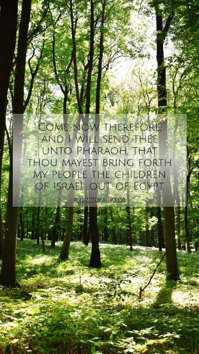 Picture 07 - Exodus 3:10 ASV Mobile Phone Wallpaper - Come now therefore, and I will send thee unto - Mobile Bible Verse Wallpaper