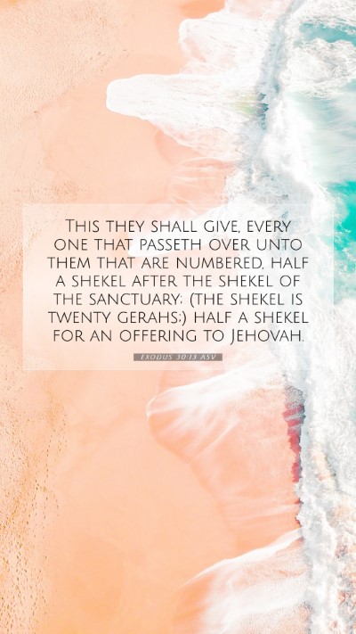 Picture 07 - Exodus 30:13 ASV Mobile Phone Wallpaper - This they shall give, every one that passeth over - Mobile Bible Verse Wallpaper