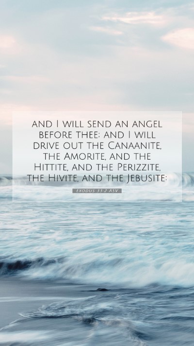 Picture 07 - Exodus 33:2 ASV Mobile Phone Wallpaper - and I will send an angel before thee; and I will - Mobile Bible Verse Wallpaper