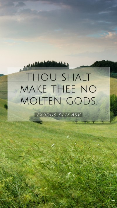 Picture 07 - Exodus 34:17 ASV Mobile Phone Wallpaper - Thou shalt make thee no molten - Mobile Bible Verse Wallpaper