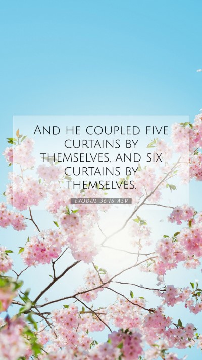 Picture 07 - Exodus 36:16 ASV Mobile Phone Wallpaper - And he coupled five curtains by themselves, and - Mobile Bible Verse Wallpaper