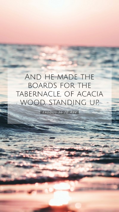 Picture 07 - Exodus 36:20 ASV Mobile Phone Wallpaper - And he made the boards for the tabernacle, of - Mobile Bible Verse Wallpaper