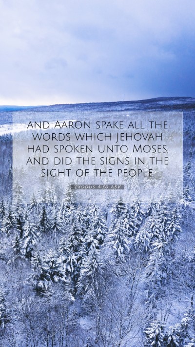 Picture 07 - Exodus 4:30 ASV Mobile Phone Wallpaper - and Aaron spake all the words which Jehovah had - Mobile Bible Verse Wallpaper