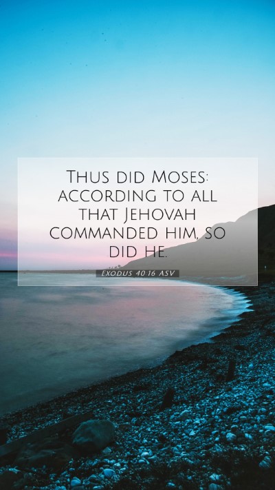 Picture 07 - Exodus 40:16 ASV Mobile Phone Wallpaper - Thus did Moses: according to all that Jehovah - Mobile Bible Verse Wallpaper