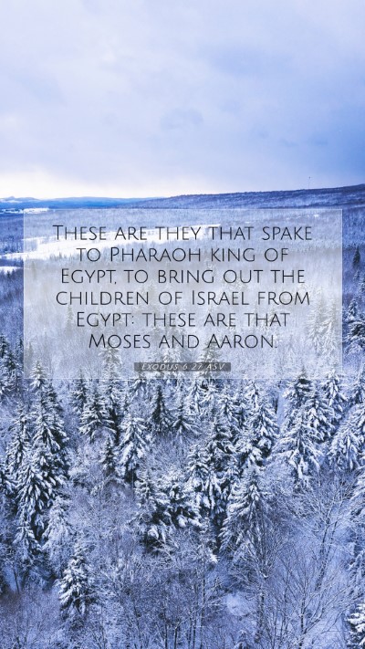 Picture 07 - Exodus 6:27 ASV Mobile Phone Wallpaper - These are they that spake to Pharaoh king of - Mobile Bible Verse Wallpaper
