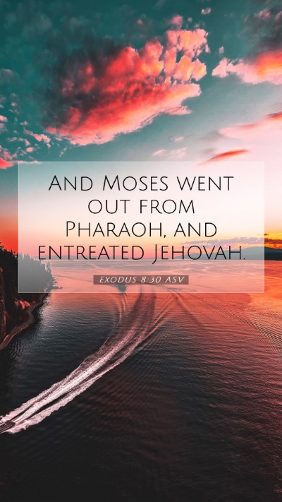 Picture 07 - Exodus 8:30 ASV Mobile Phone Wallpaper - And Moses went out from Pharaoh, and entreated - Mobile Bible Verse Wallpaper