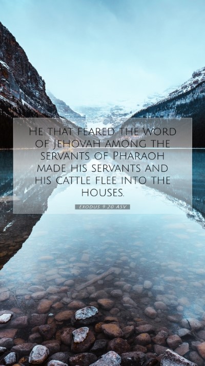 Picture 07 - Exodus 9:20 ASV Mobile Phone Wallpaper - He that feared the word of Jehovah among the - Mobile Bible Verse Wallpaper