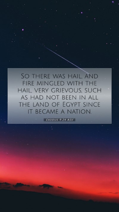 Picture 07 - Exodus 9:24 ASV Mobile Phone Wallpaper - So there was hail, and fire mingled with the - Mobile Bible Verse Wallpaper