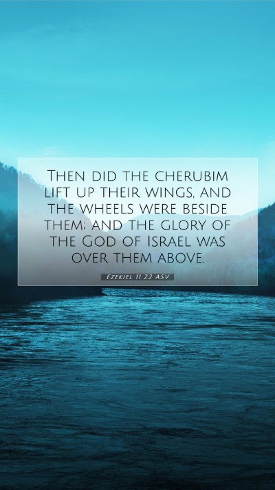 Picture 07 - Ezekiel 11:22 ASV Mobile Phone Wallpaper - Then did the cherubim lift up their wings, and - Mobile Bible Verse Wallpaper