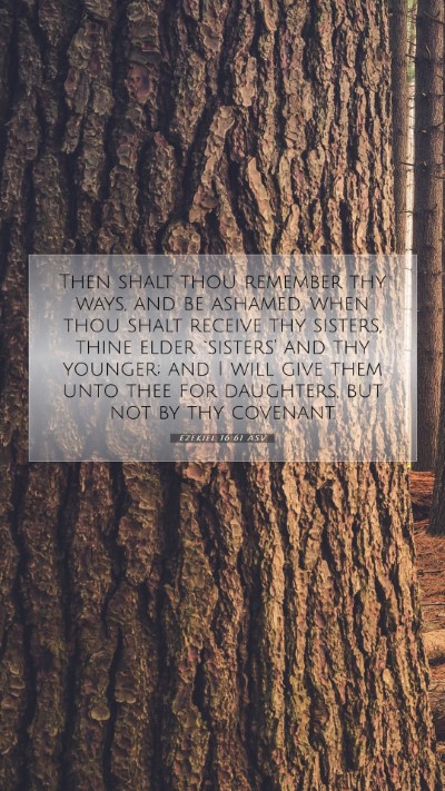 Picture 07 - Ezekiel 16:61 ASV Mobile Phone Wallpaper - Then shalt thou remember thy ways, and be - Mobile Bible Verse Wallpaper