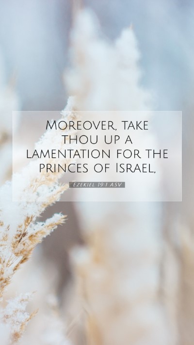 Picture 07 - Ezekiel 19:1 ASV Mobile Phone Wallpaper - Moreover, take thou up a lamentation for the - Mobile Bible Verse Wallpaper